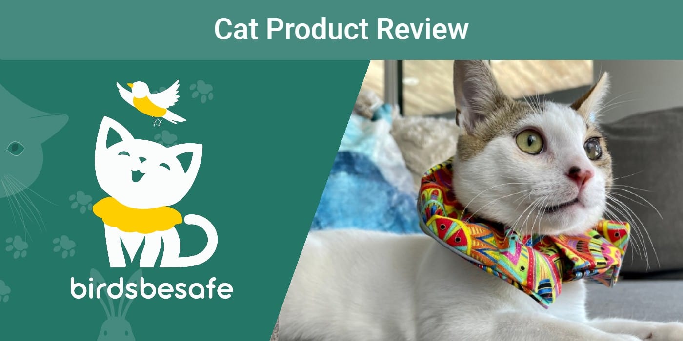 Birdsbesafe Collar & Cover Review 2023: Our Expert’s Opinion