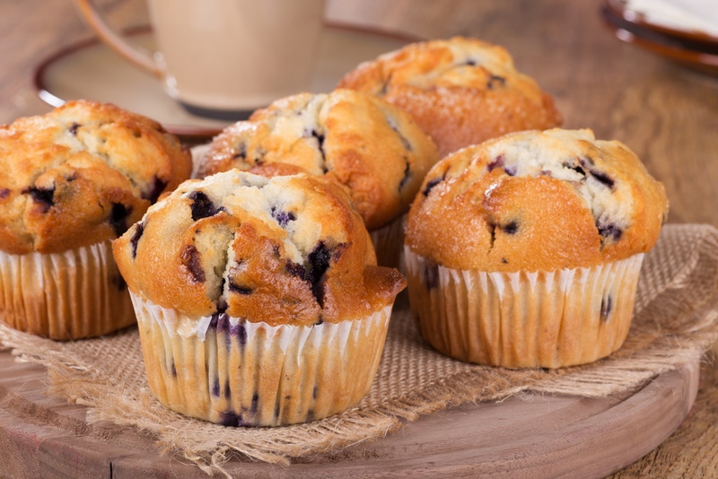 Can Cats Eat Blueberry Muffins? Vet approved Facts & FAQ