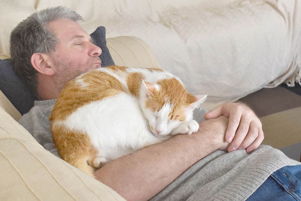 Why Does My Cat Sleep on Me? 6 Possible Reasons & Solutions