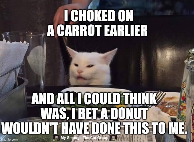 17 Salad Cat Memes That Will Leave You Hungry for More 2023