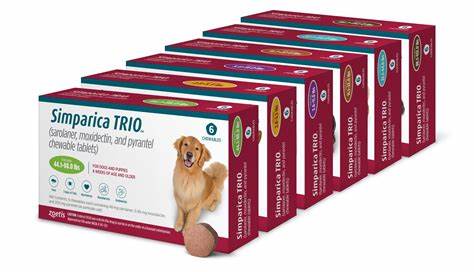 Simparica Trio: A Comprehensive Solution for Dog Parasite Protection