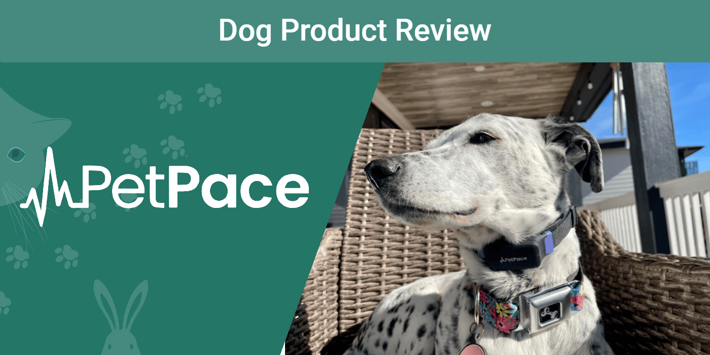 PetPace Dog Collar Review 2023: Our Expert’s Opinion