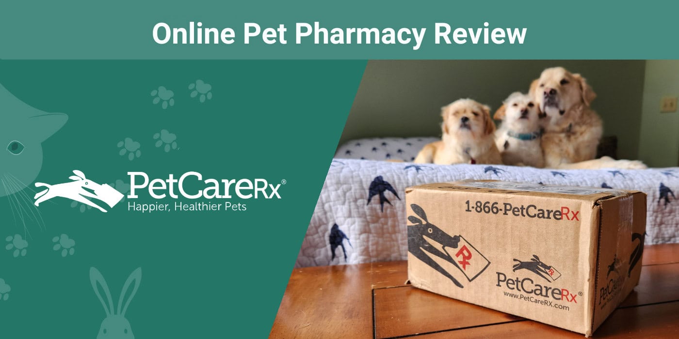 PetCareRx Online Pet Pharmacy Review 2024: Our Expert’s Opinion