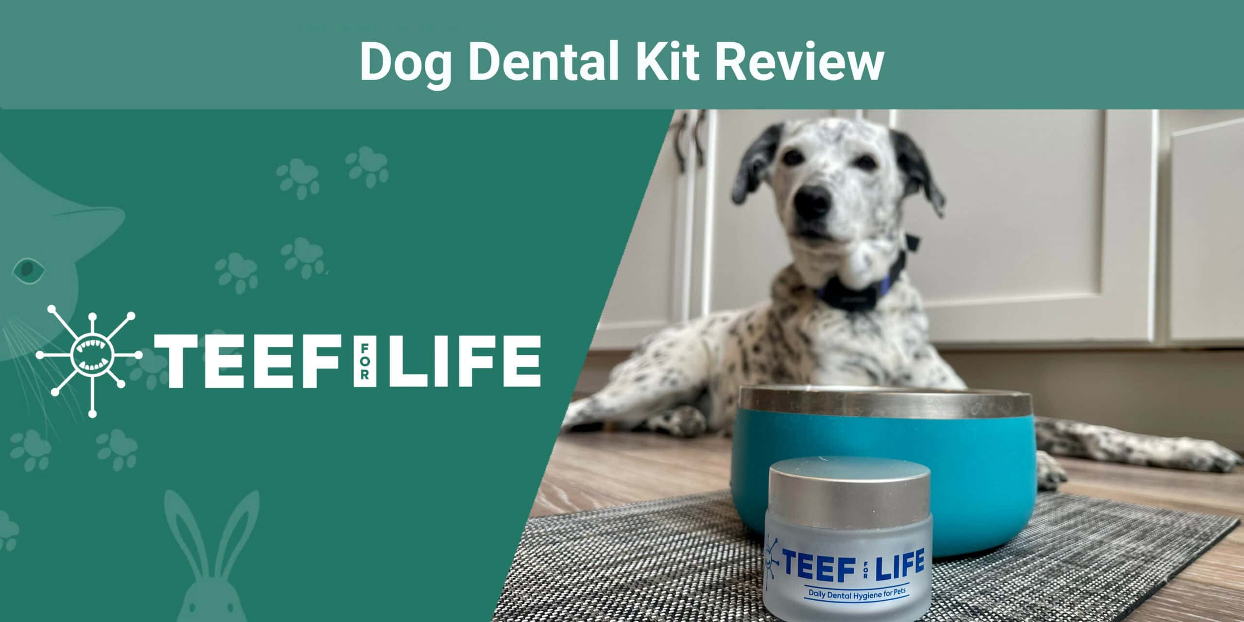 TEEF for Life Dental Kit Review 2024: Our Expert’s Opinion