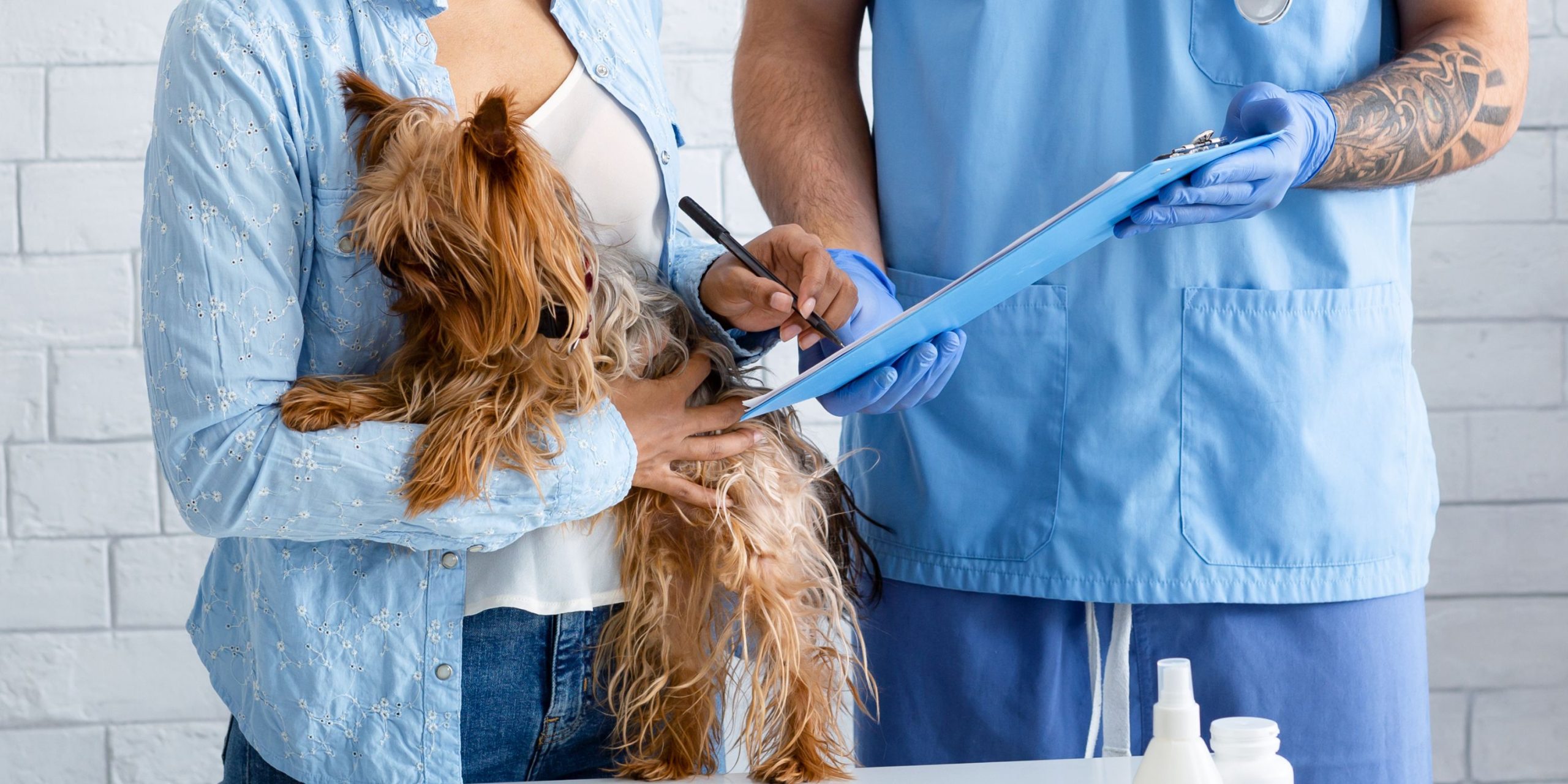 Can You Get Pet Insurance After Diagnosis – Is It Worth It?