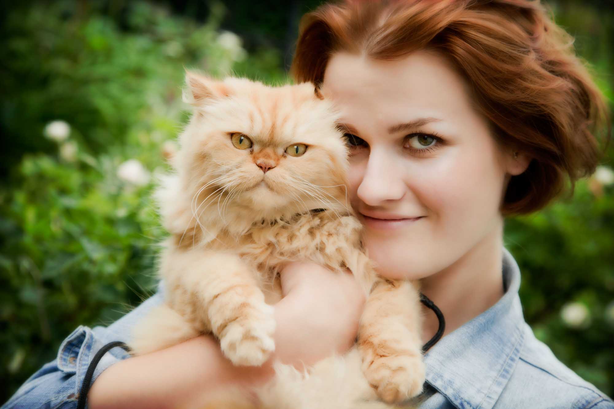 Friendliest Cat Breeds You’ll Want to Take Home