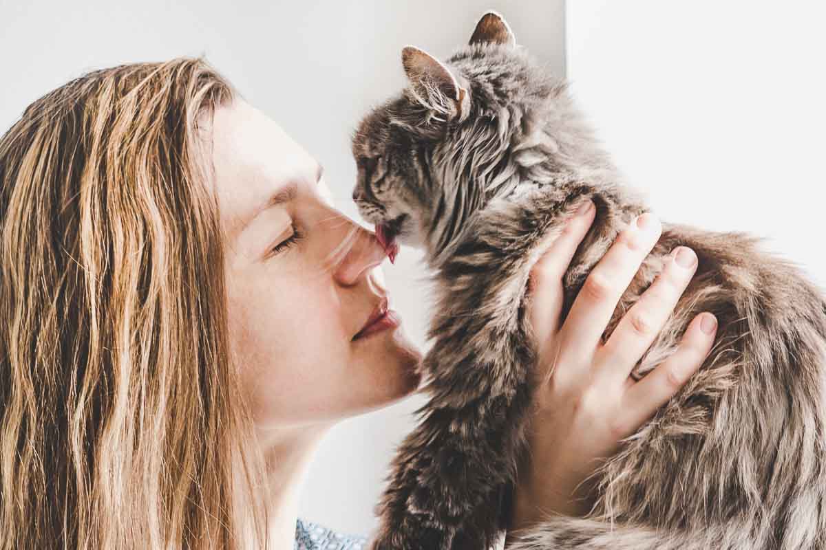 Ever Wonder Why Your Cat Smells Amazing? Uncover the Secret Reasons Behind Their Scent