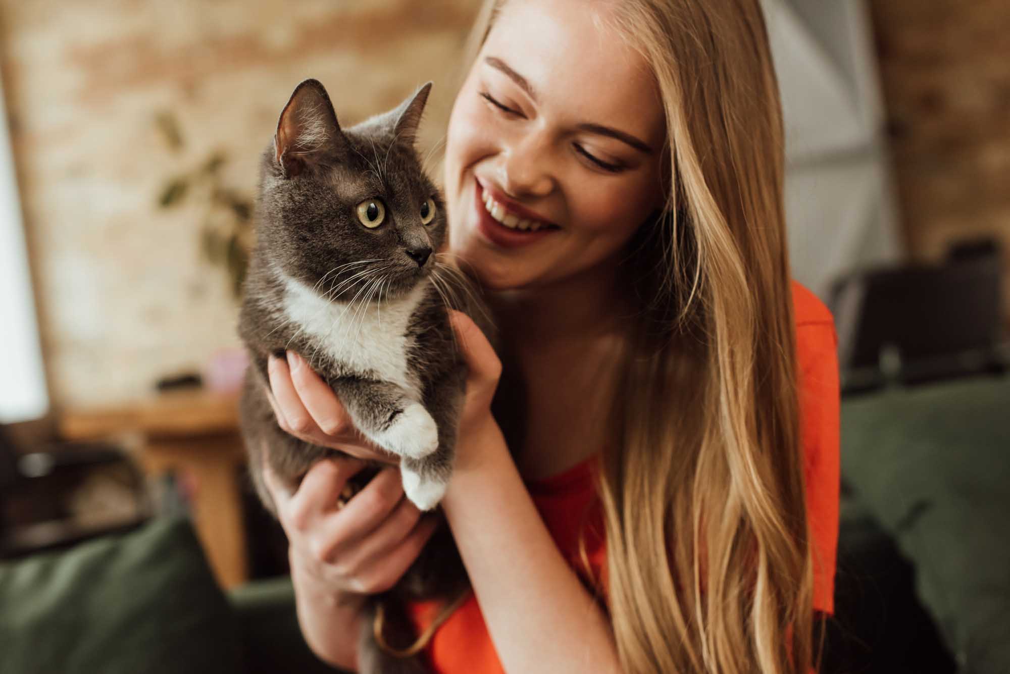 6 Reasons Your Cat Purrs When You Stroke It